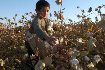 uzbekistan-child-labor-cotton0